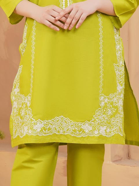 Lime Green Embroidered Dress