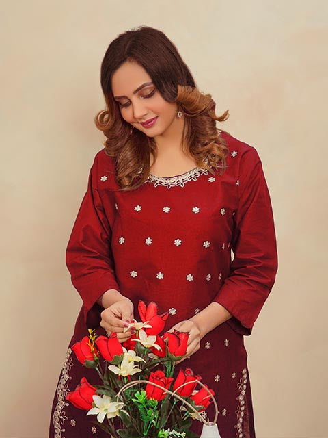 Maroon Glam Embroidered Dess